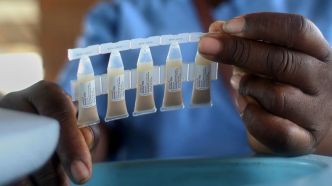 Choléra à Mayotte: l'épidémie peut-elle s'étendre sur l'île et en métropole?