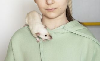 L'Académie de médecine alerte sur les risques des nouveaux animaux de compagnie pour les tout-petits