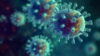 Anticiper les pandémies: les espoirs déçus