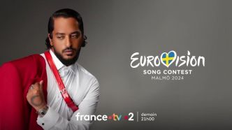 Eurovision 2024 : réunion de crise, bagarre... un candidat provoque un branle-bas de combat à quelques heures du show