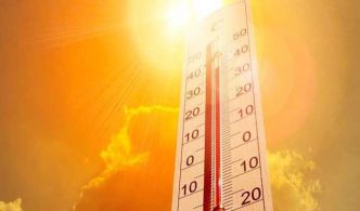 Vague de chaleur en Tunisie : des températures jusqu’à 45 degrés attendues la semaine prochaine