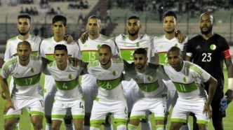 Le Mystère des Oreillers de l’Équipe d’Algérie : Quelle Histoire Se Cache Derrière ?