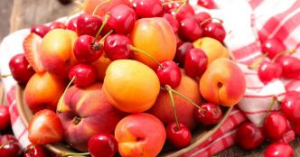 Conseils jardinage. Comment optimiser votre récolte de fruits à noyau ?