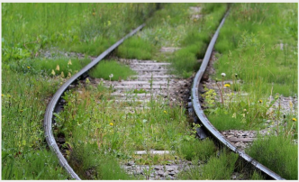 Gestion des mauvaises herbes à la Deutsche Bahn sans glyphosate