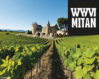 Castillon : la viticulture gironde à la conquête de son appellation d’origine contrôlée – Sud Ouest