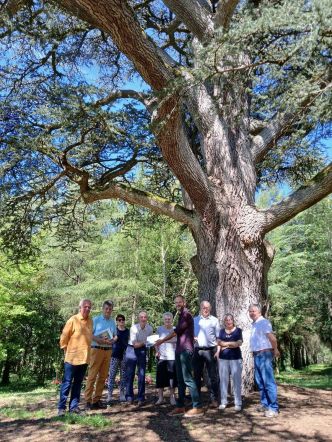 Vars : Deux arbres remarquables labellisés au domaine de l'Hermitage