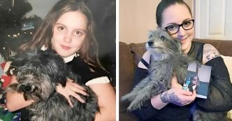 Un chien perdu depuis 7 ans retrouve enfin sa famille