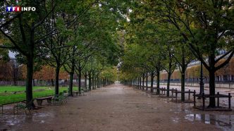 Orages en Île-de-France : les parcs et jardins fermés à Paris | TF1 INFO