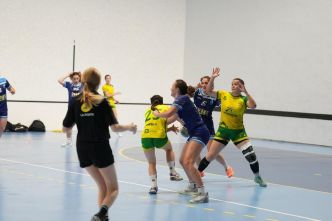 Handball (N2F). Gan plonge en Nationale 3