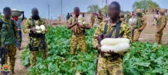 Toéni : La Gendarmerie nationale accompagne les populations pour la réalisation d'un jardin potager
