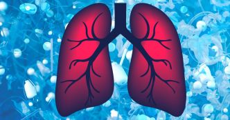 Une étude révèle jusqu'où les microplastiques se logent dans nos poumons