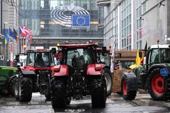 Face à la colère des agriculteurs, les pays membres de l'UE valident définitivement une révision de la PAC