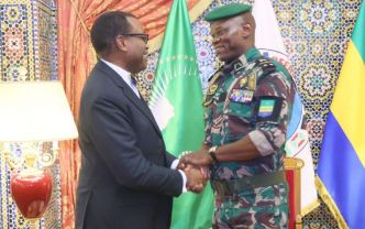 BAD : Akinwumi Adesina au Gabon pour rassurer le CTRI