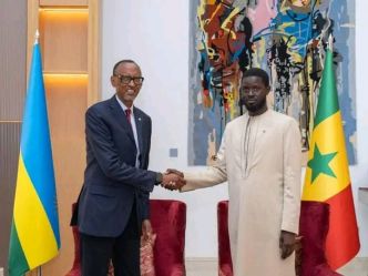 RENFORCEMENT DE LA COOPERATION SUD-SUD   : Paul Kagamé montre la voie à suivre