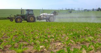 Pesticides : une association dépose un recours contre l'utilisation du Movento