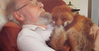 Mike Trowler : Le sauveur des renards – Une histoire de dévouement et d’amitié