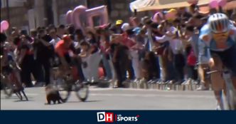 Giro: un chien fait irruption sur la route lors de la 10e étape et se fait percuter par Juan Pedro López (VIDEO)