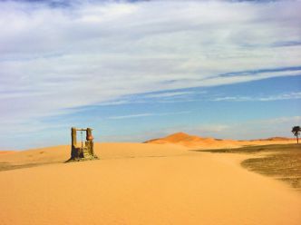 Tunisie: 10 mille hectares de cultures prévus dans le désert