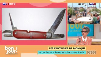 Bonjour ! La Matinale TF1 - Les fantaisies de Monique : le couteau suisse dans tous ses états ! | TF1 INFO