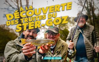 [REPORTAGE] Pêche de la truite sur la rivière Ster Goz dans le Finistère