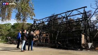 "Pourquoi tant de haine ?" : un suspect recherché après un nouvel incendie au Village Gaulois de Pleumeur-Bodou | TF1 INFO