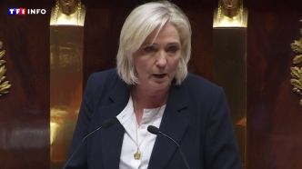 Droit à l'image : Marine Le Pen attaque en justice la formation d'extrême droite wallonne Chez Nous  | TF1 INFO