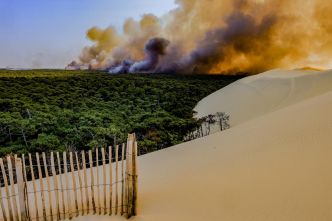 La forêt de La Teste-de-Buch revit : retour en images sur les terribles feux de l'été 2022
