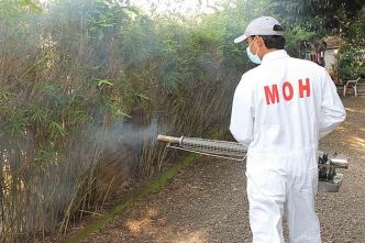Plusieurs décès causés par la dengue et la leptospirose enregistrés à l'île Maurice depuis le début de l'année