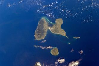 "Planète revisitée des îles de Guadeloupe" : à la découverte de centaines d'espèces nouvelles