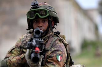 Face à la la prolifération des sangliers en Italie le gouvernement envoie l’armée