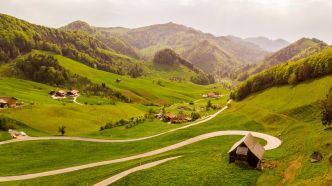 L'agriculture biologique s'implante sur le territoire Suisse en occupant un cinquième de sa surface agricole