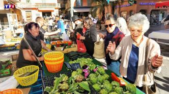 Votre plus beau marché 2024 : le marché de Hyères, des fruits, des légumes et des fleurs colorés | TF1 INFO