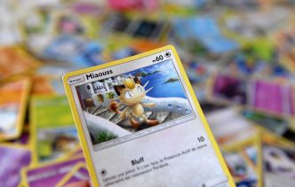 Gard : Les cartes Pokémon volées devaient être détruites, elles seront offertes aux enfants hospitalisés