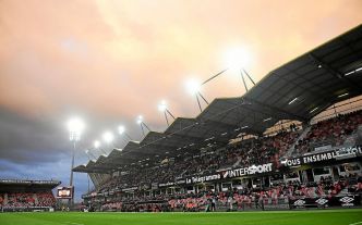 Coupe d'Europe : les dirigeants du Stade Brestois ont rencontré ceux de Guingamp