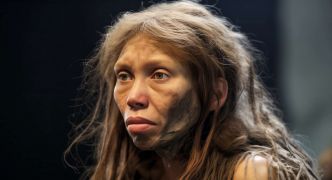 Neandertal portait les mêmes virus que nous il y a 50 000 ans et cela pose des questions