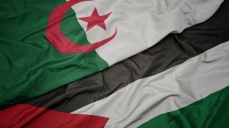 Soutien à Gaza : les gestes forts de deux grandes stars franco-algériennes