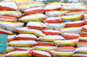 Riz, blé... : les importations du Cameroun chutent de 27% en 2023 pour s'établir à 387,7 milliards de FCFA