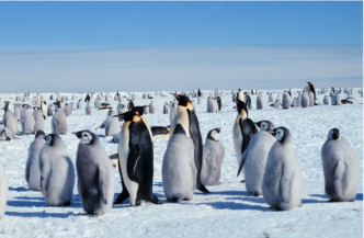 L’Argentine menace de faire intervenir les États-Unis et la Chine dans le litige qui l’oppose au Chili en Antarctique