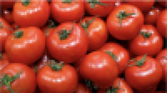 Plaisir de table : la tomate, fruit ou légume ?