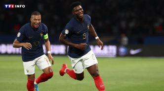 "On n'y va pas à 25, mais à 68 millions" : les Bleus réagissent à leur sélection pour l'Euro 2024 | TF1 INFO