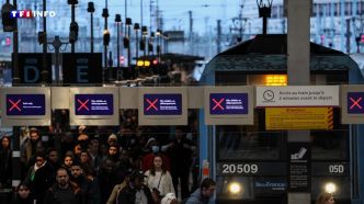 Grève SNCF : vers une "journée noire" mardi en Île-de-France | TF1 INFO