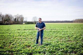 « Je n'ai pas le profil d'un agriculteur lambda » : Nicolas Galpin, un céréalier contraint à la diversification