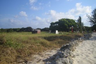Propriété foncière : la nouvelle loi fustigée par le député Nilor, avant une conférence de concertation en Martinique