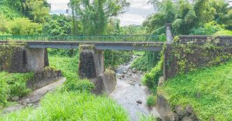 Martinique : des mesures de gestion de l'eau prises pour faire face à la crise liée à la sécheresse