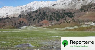Skier l'été : une piste en plastique prévue dans une zone protégée des Pyrénées