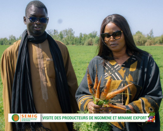 Visite des producteurs spécialisés dans l'agro business par Madame Fatoumata Niang Ba, Directrice générale de la SEMIG SA