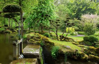 Découvrez comment créer un sublime jardin de style japonais chez vous