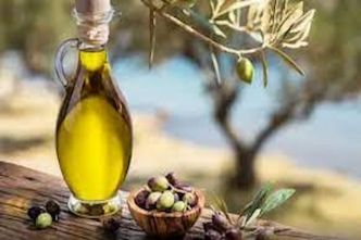 Huile d’olive: Forte hausse des recettes d’exportation de 91,4%