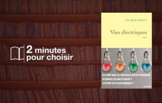 On a lu « Vies électriques », deux destins placés par Dalibor Frioux sous le signe de la fée électricité