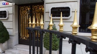 Braquage à mains armées chez Harry Winston à Paris : une bijouterie déjà attaquée à plusieurs reprises | TF1 INFO